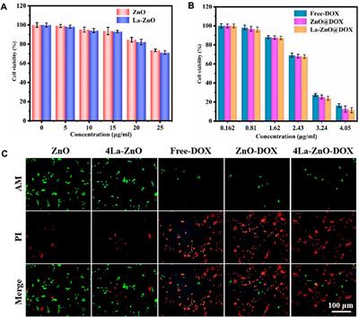 Enhancement of fluorescence and anti-tumor effect of ZnO QDs by La doping